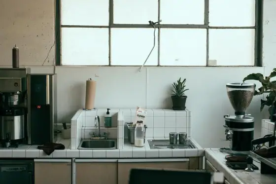 Kitchen with tall windows and plants